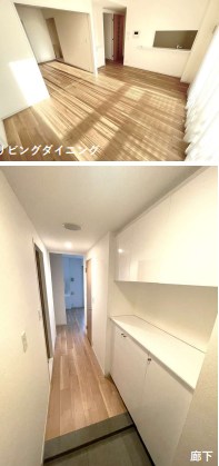 東京都世田谷区野沢４丁目 その他