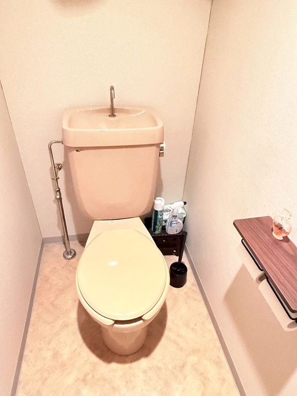 群馬県吾妻郡草津町草津 内観写真（トイレ）