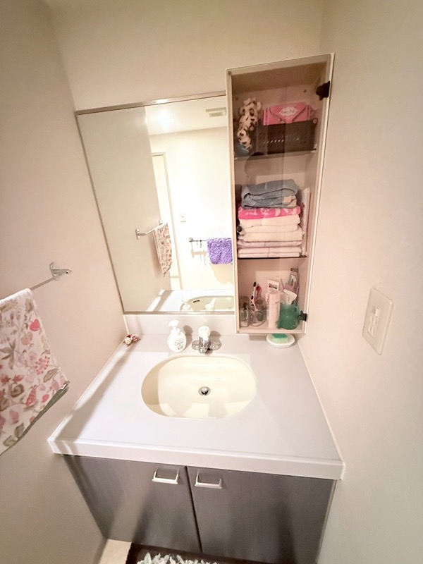 群馬県吾妻郡草津町草津 内観写真（洗面台・洗面所）