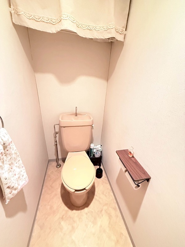 群馬県吾妻郡草津町草津 内観写真（トイレ）