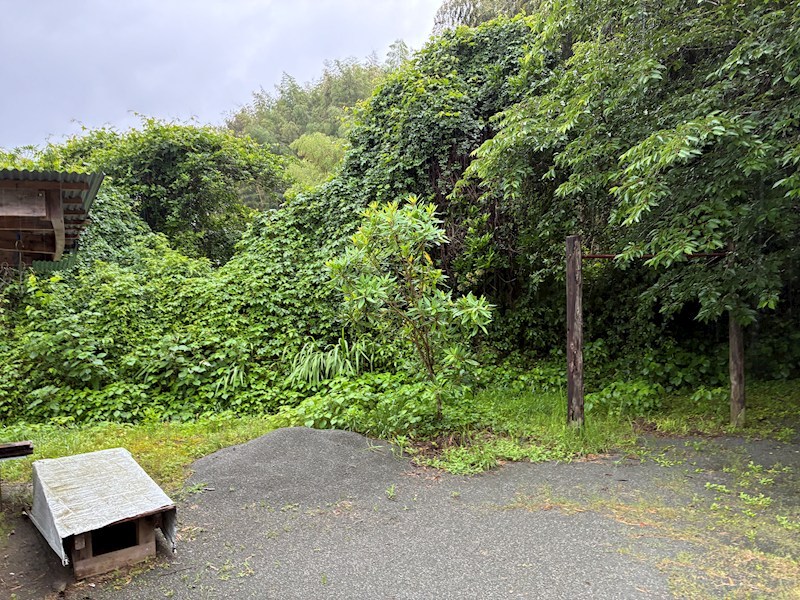 鹿児島県薩摩川内市東郷町斧渕 その他