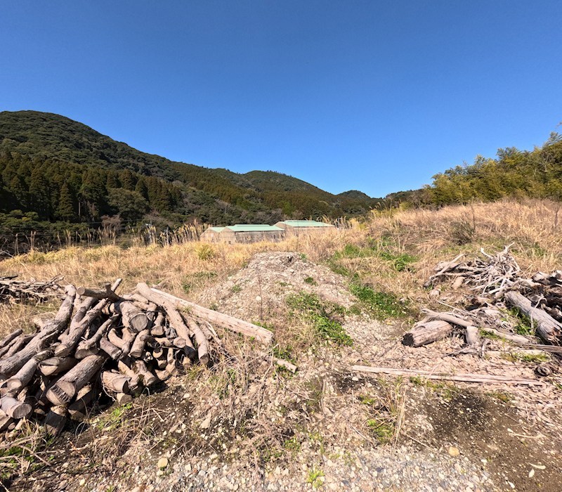 鹿児島県日置市日吉町日置 その他