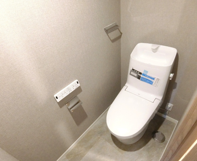 ライオンズマンション西橋本 内観写真（トイレ）