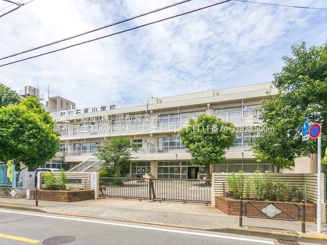 新築戸建　調布市富士見町　１号棟 小学校