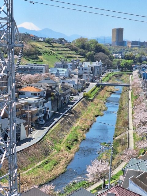 サンクレイドル聖蹟桜ヶ丘レジデンス 眺望写真
