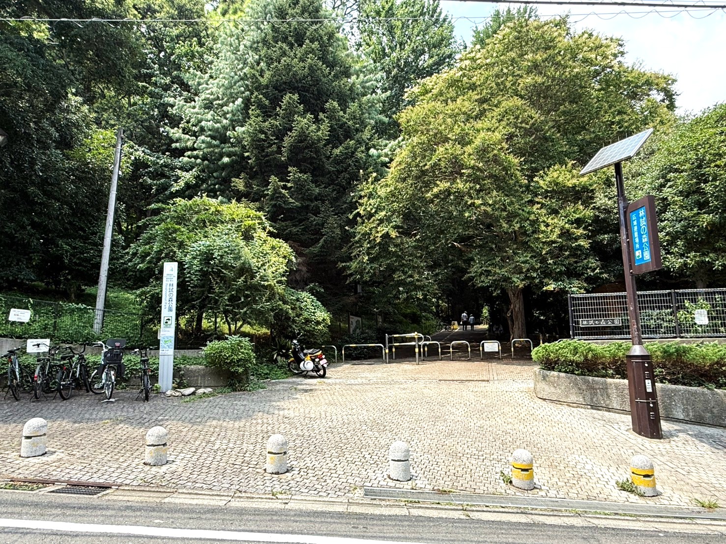 オープンレジデンシア武蔵小山 公園