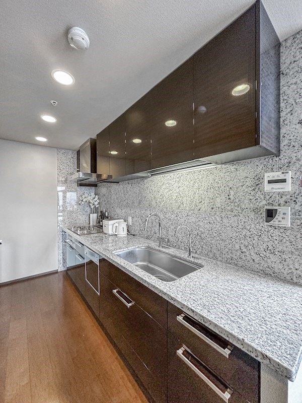 シティタワーズ豊洲ザ・ツイン サウスタワー 最上階47・48階メゾネット その他