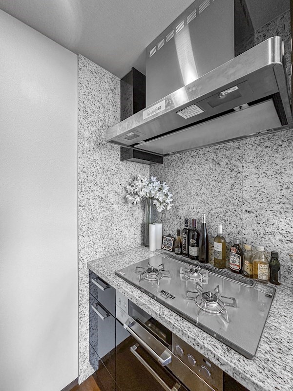 シティタワーズ豊洲ザ・ツイン サウスタワー 最上階47・48階メゾネット その他