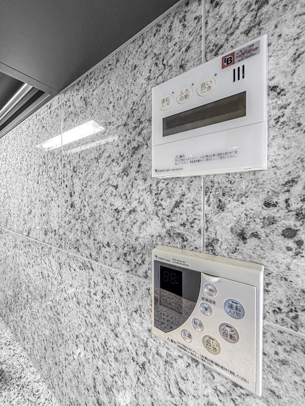 シティタワーズ豊洲ザ・ツイン サウスタワー 最上階47・48階メゾネット その他