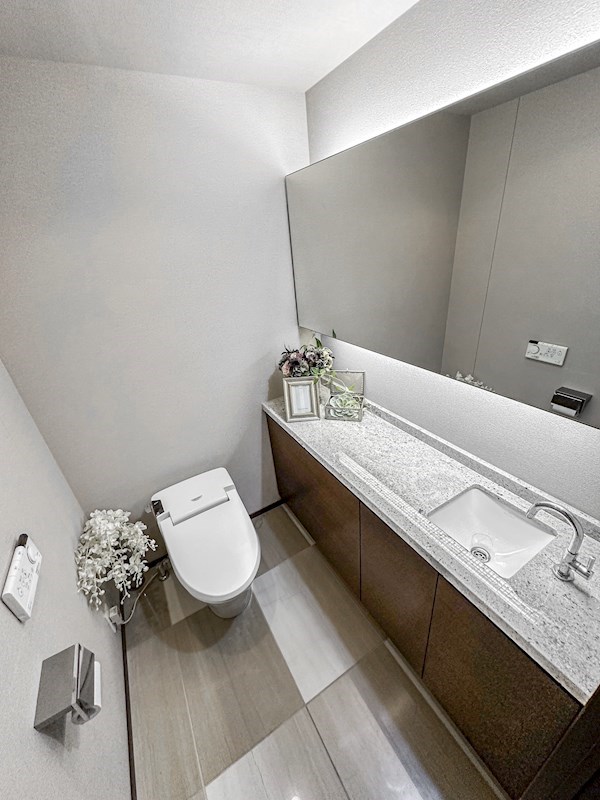 シティタワーズ豊洲ザ・ツイン サウスタワー 最上階47・48階メゾネット その他