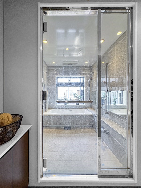 シティタワーズ豊洲ザ・ツイン サウスタワー 最上階47・48階メゾネット その他