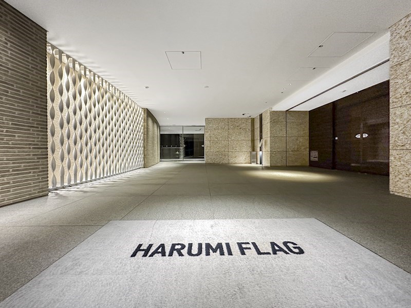 HARUMI FRAG PARK VILLEGE　A棟　4階南西向き その他