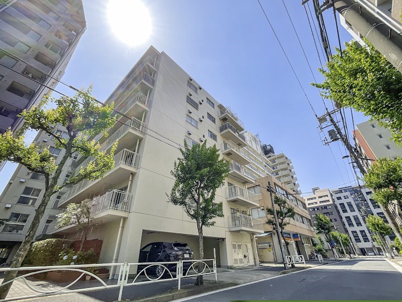 隅田リバーサイド永谷　5階南西向き その他