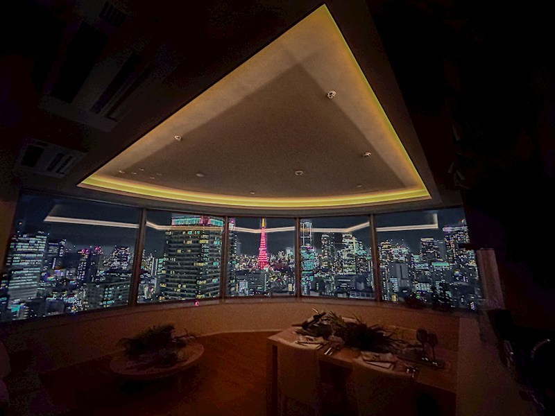 東京ツインパークス ライトウイング 32階南西角部屋 その他