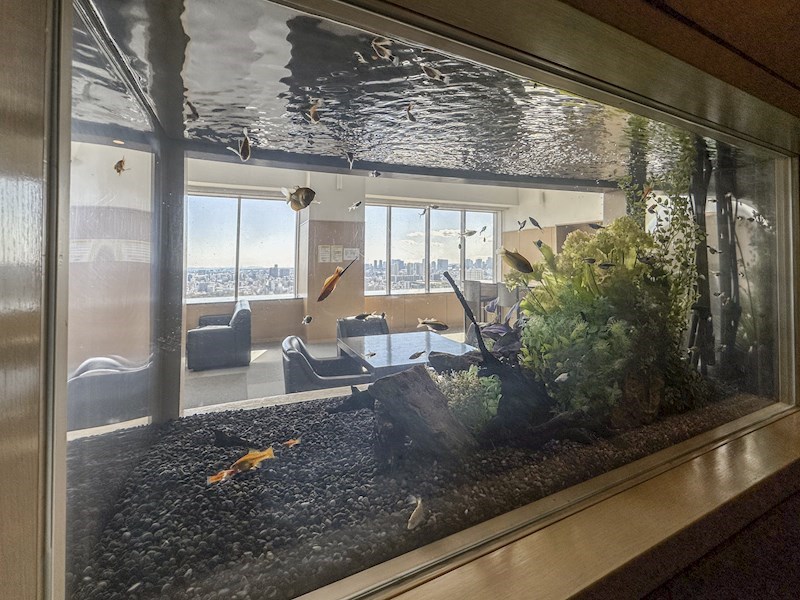 ブリリアタワー東京 33階北西角部屋 その他