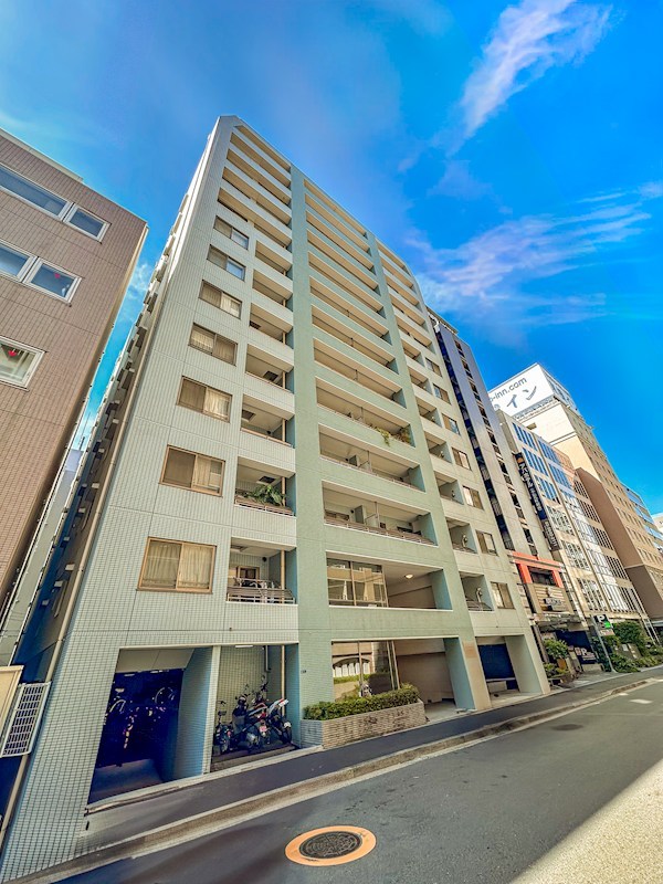 ファミール日本橋ブルー・クレール　4階南東角部屋 その他
