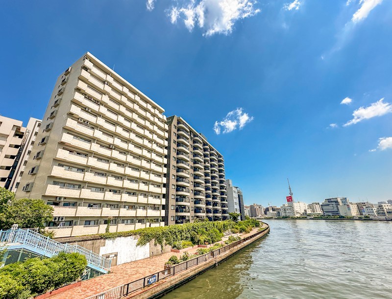 日本橋グリーンハイツ　南東向きテラス専用庭付き その他