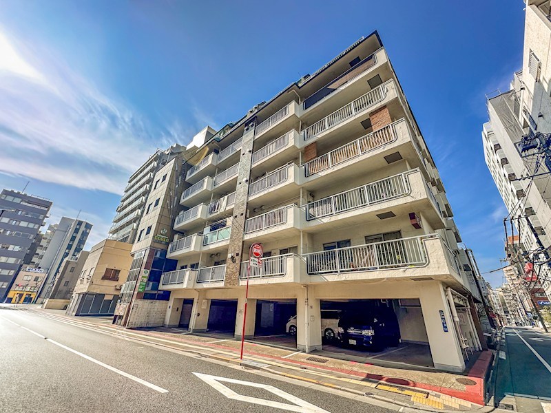 ヴィラロイヤル両国　4階北西角住戸 その他