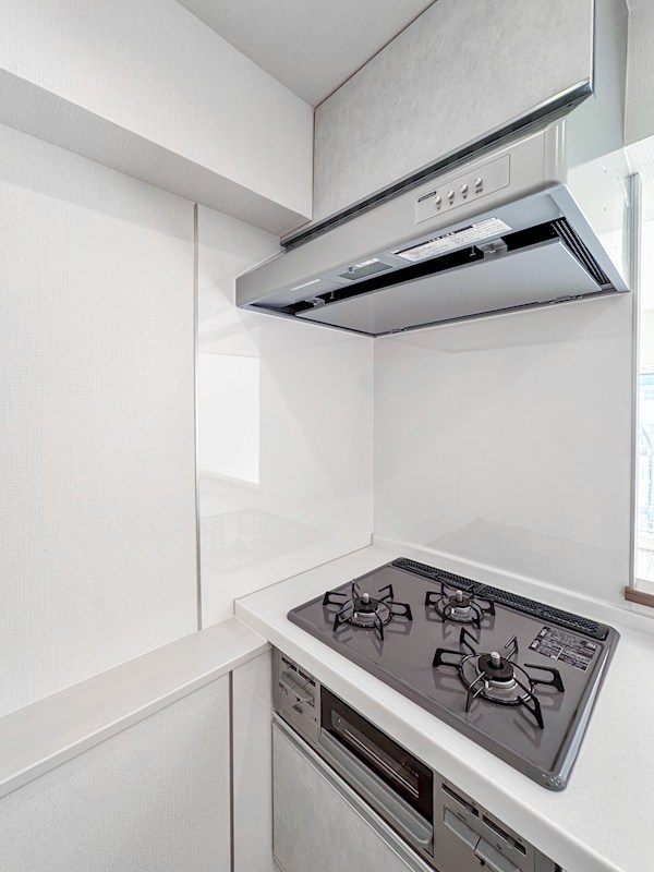 両国緑スカイハイツ　6階南向き その他