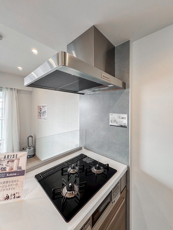 リビオレゾン両国オン・ザ・ステーション　最上階南西角部屋 その他