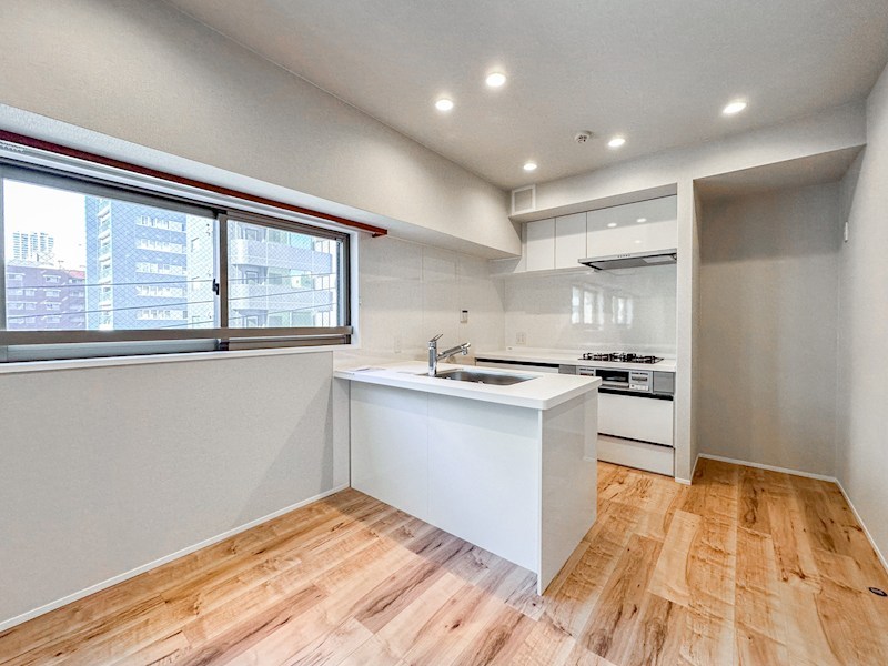 デュオ・スカーラ秋葉原　4階南西角部屋 その他