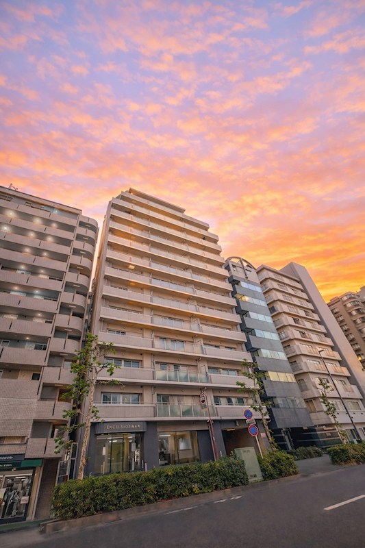 エクセルシオール錦糸町　8階角住戸 外観