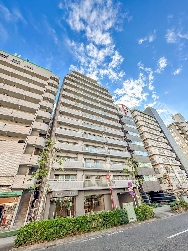 エクセルシオール錦糸町　8階角部屋 その他