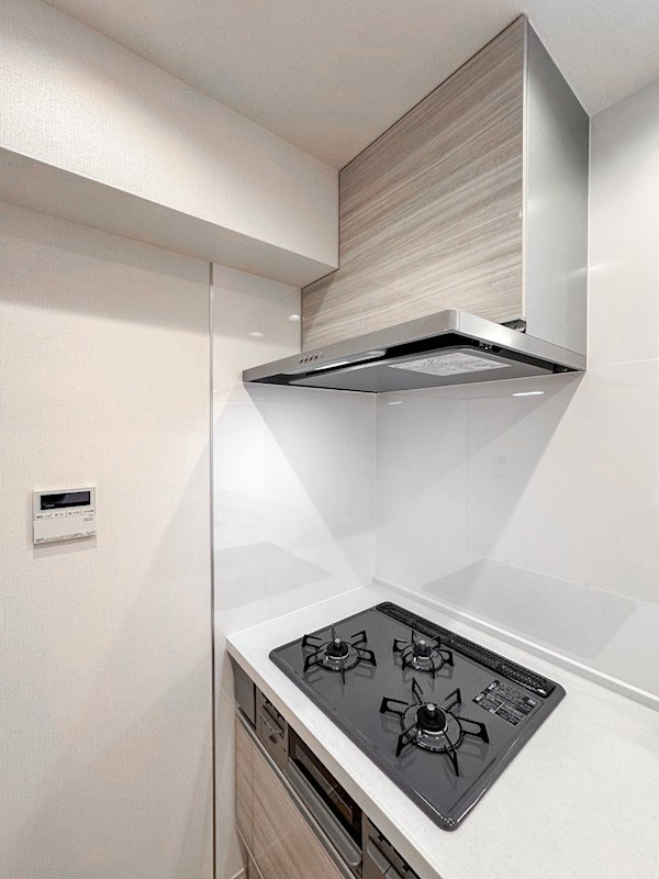 エクセルシオール錦糸町　8階角住戸 その他