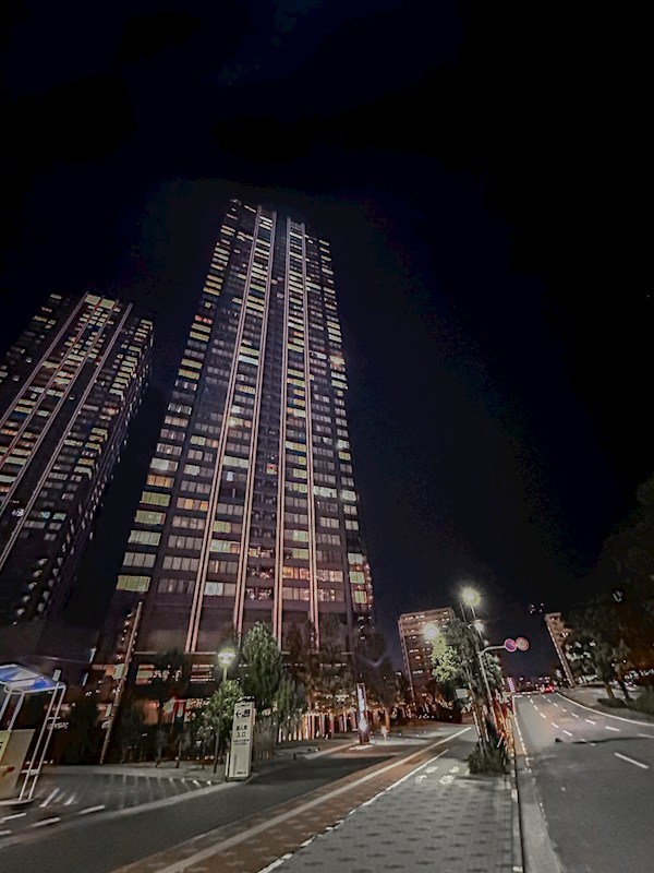 シティタワーズ豊洲ザ・ツイン サウスタワー その他