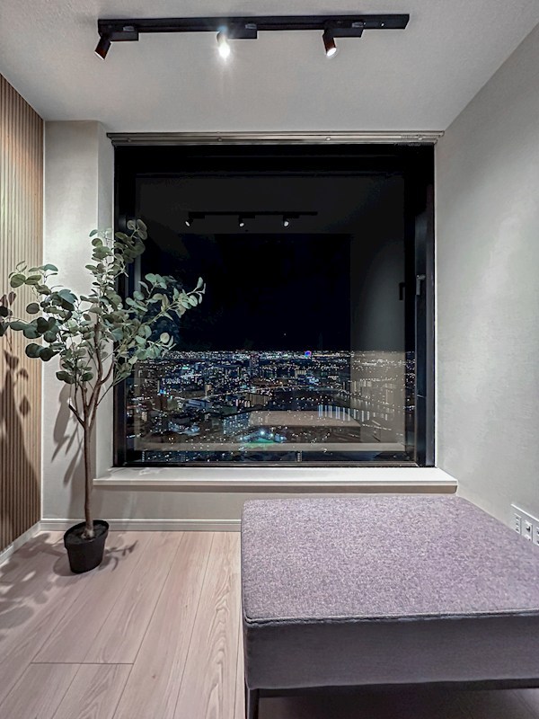 シティタワーズ豊洲ザ・ツイン サウスタワー その他