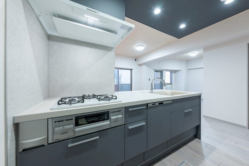 ヴェルビュ錦糸町　専用庭・専用駐車場付き その他