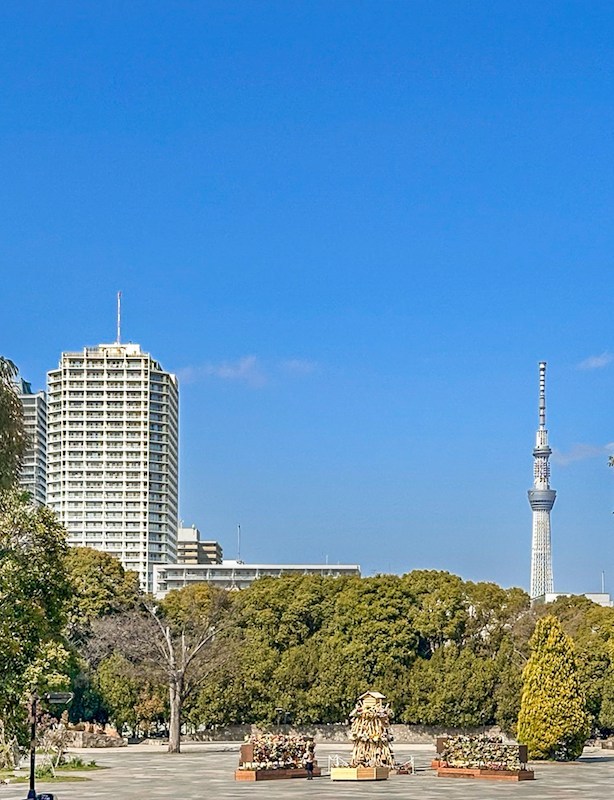 イーストコモンズ清澄白河セントラルタワー その他