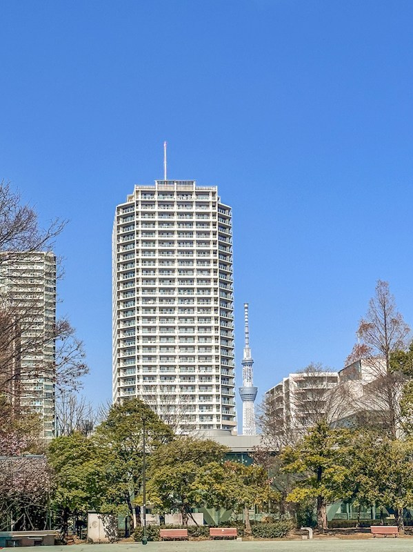 イーストコモンズ清澄白河セントラルタワー その他