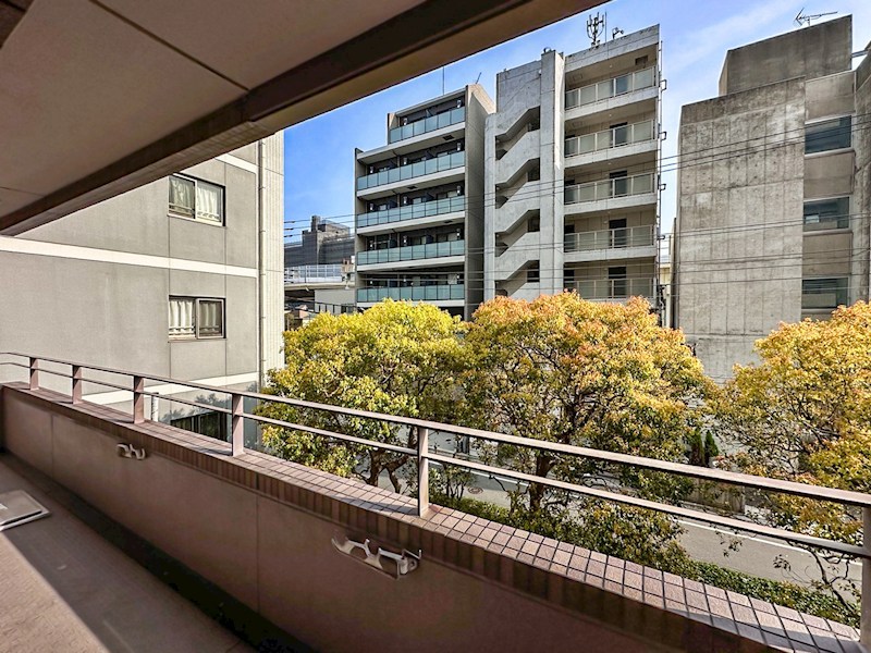 コスモプレイス亀戸　3階南東角住戸 その他