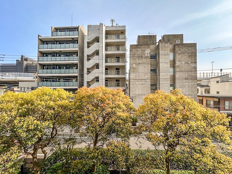 コスモプレイス亀戸　3階南東角住戸 その他