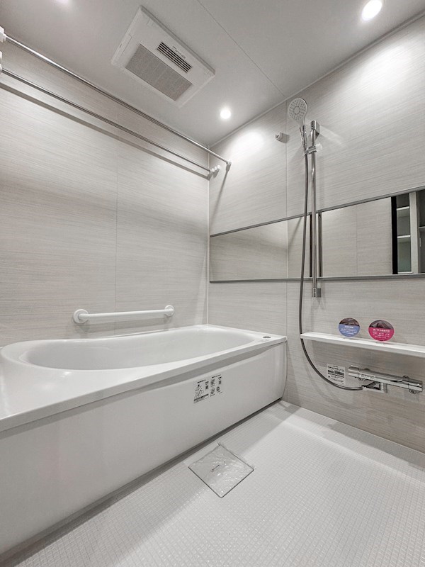 ルネ門前仲町パークステイツ　4階南西向き その他