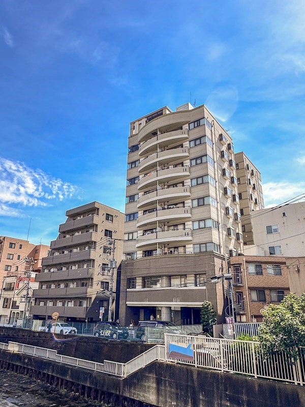 藤和シティコープ　5階角部屋 その他