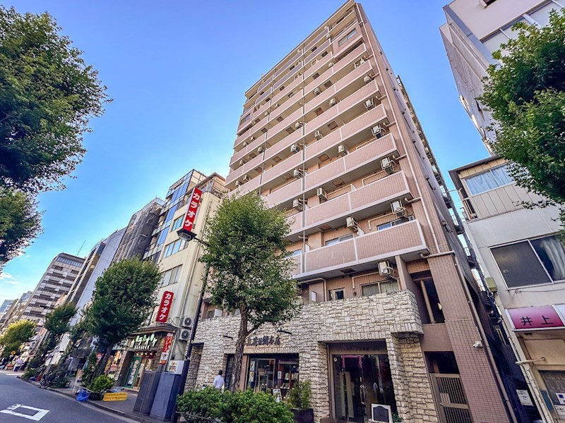メインステージ日本橋人形町 10階南東角住戸 その他