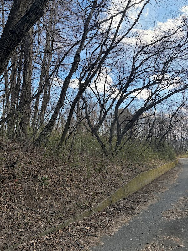 北杜市高根町村山西割　売土地 現地写真