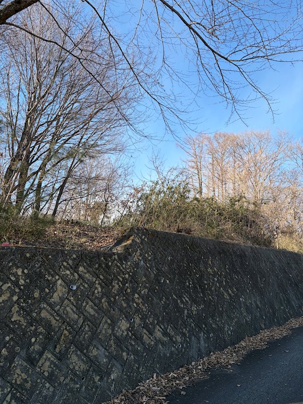 北杜市高根町村山西割　売土地 現地写真