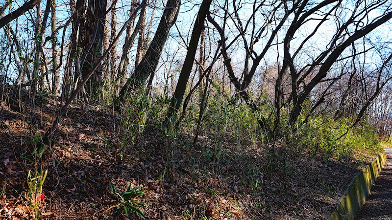 北杜市高根町村山西割　売土地 現地写真
