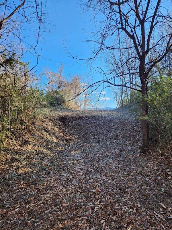 北杜市高根町村山西割　売土地 現地写真