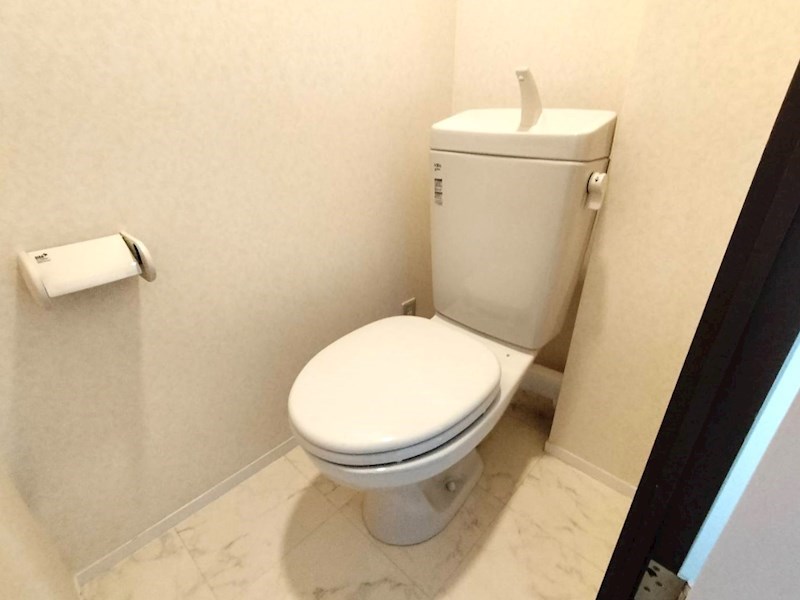 豊中スカイハイツ 内観写真（トイレ）