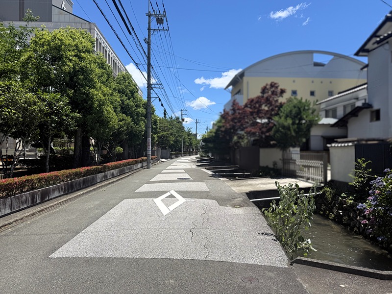 【6/30値下げ】高知市桜馬場　売土地 現地写真（前面道路含む現地写真）