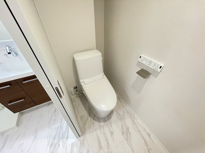ダイアパレス白壁 内観写真（トイレ）