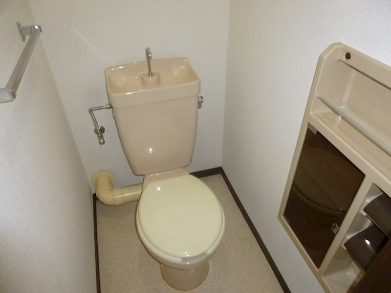 愛知県名古屋市天白区中平２丁目 内観写真（トイレ）