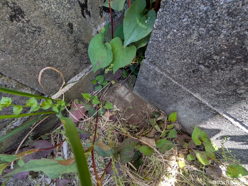 鈴鹿市十宮2丁目約73坪　土地 現地写真