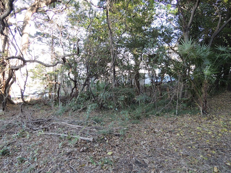 日進市浅田平子1丁目 現地写真