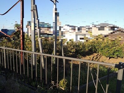 日進市浅田町西田面 現地写真