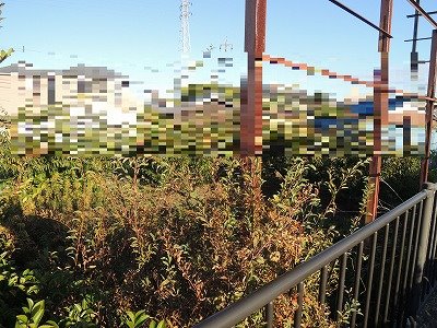 日進市浅田町西田面 その他